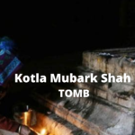 Delhi tour guide