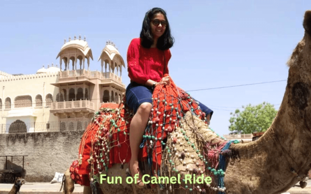 Tour Guide in Jaipur/Enjoy Best Places to Visit in Jaipur