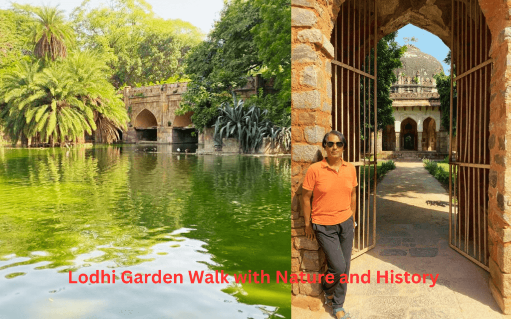 Best Places to Visit in Delhi: Tour Guide in Delhi
https://gowithharry.com/delhi-tour-guide/
Delhi Tour Guide