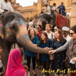 International Students with Amber Fort Tour Guide at Elephant Stand: Explore Jaipur’s Royal History on an Educational Tour